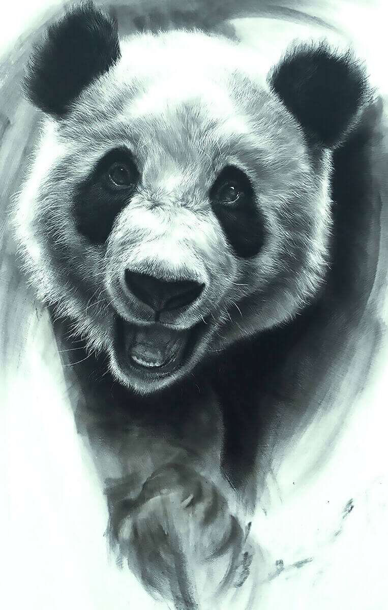 Really learning – Giant Panda | Steve Morvell Wildlife Art
